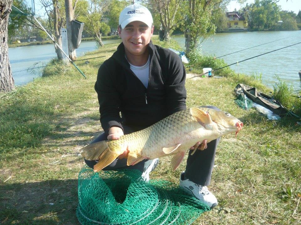 pescuit la crap  - 733950518105808230446141891664n.jpg